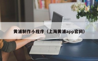 忻州黄浦制作小程序（上海黄浦app官网）